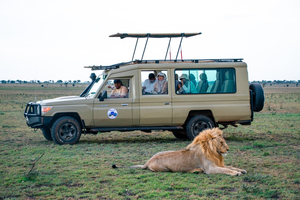 Serene view of Tanzania landscape