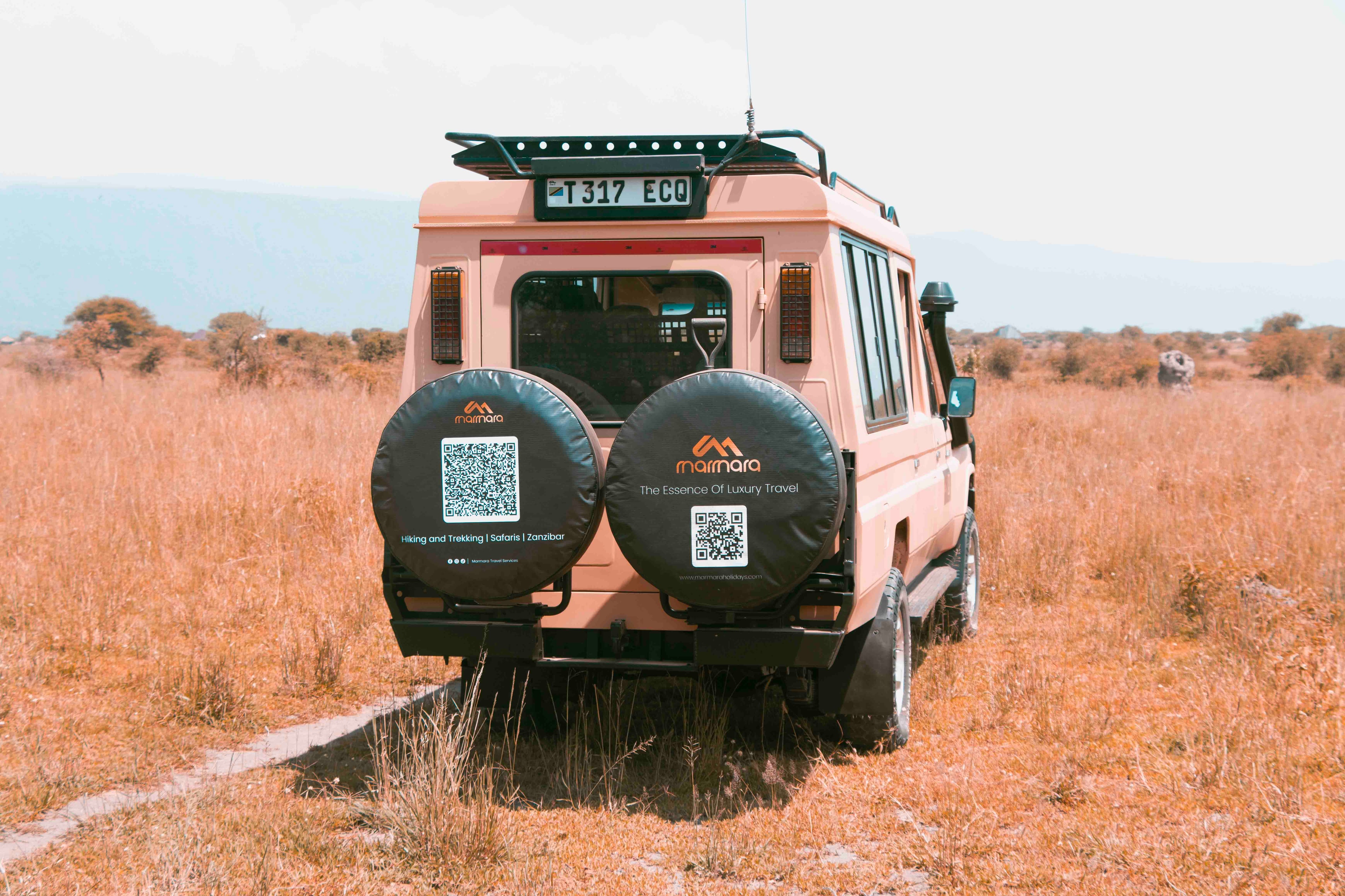 Tanzania landscape